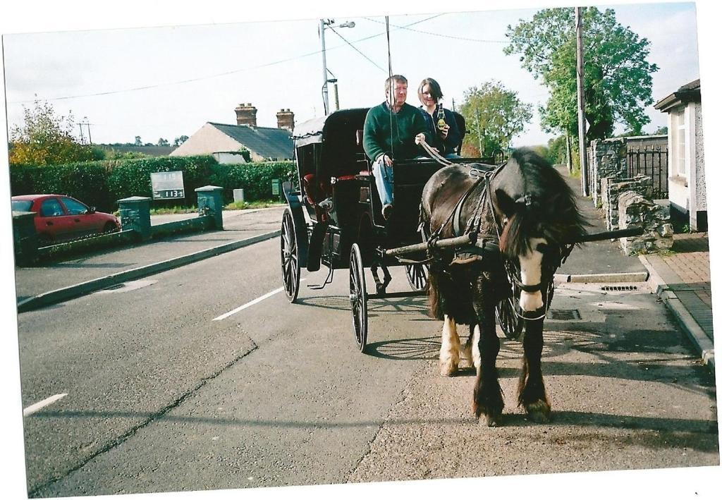 Dalys Inn Donore  Buitenkant foto